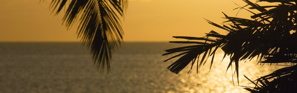 じゃすみんレンタカー お手頃価格で快適な旅を